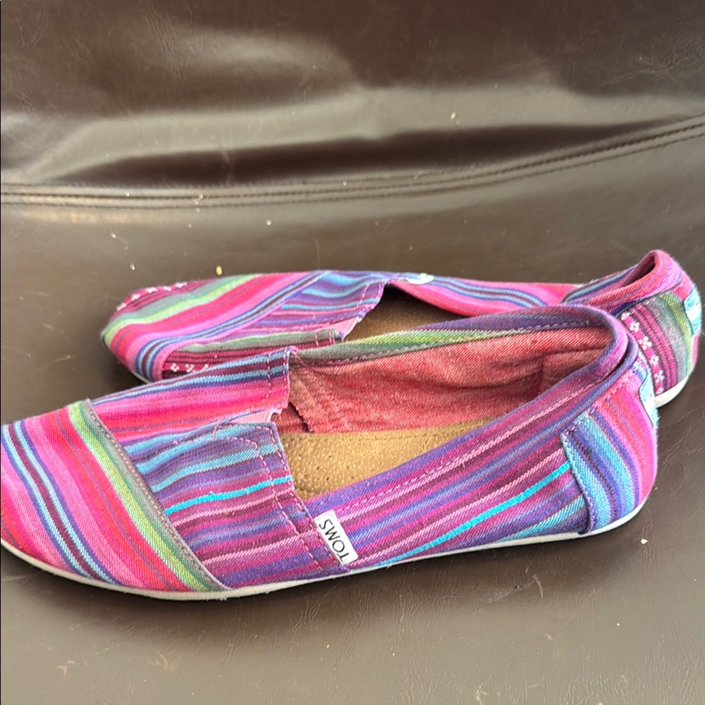 TOMS Multicolor Striped Slip-On Shoes